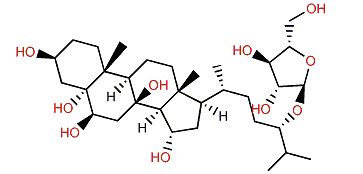 Protolinckioside B